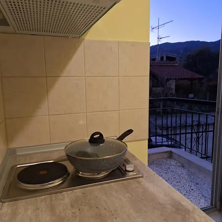 Olive Tree * Asprovalta