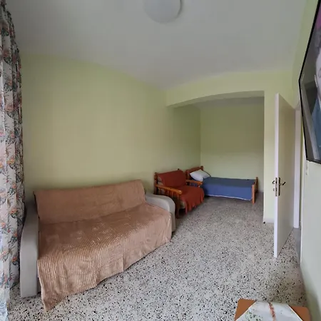 Olive Tree Asprovalta