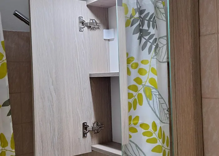 Olive Tree 艾斯普罗瓦塔