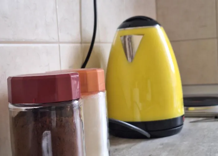 公寓 Olive Tree 艾斯普罗瓦塔