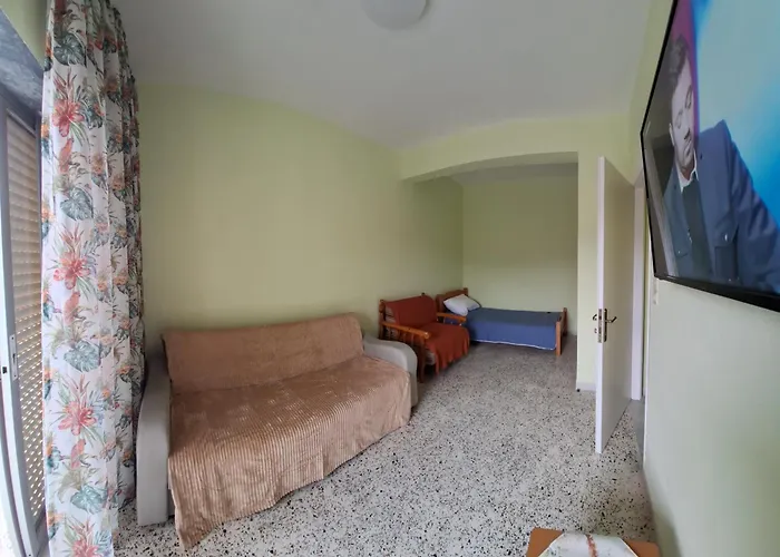 Olive Tree 艾斯普罗瓦塔